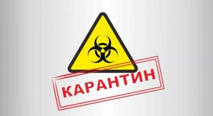 Чем заняться во время карантина? - 17 крутых способов провести время