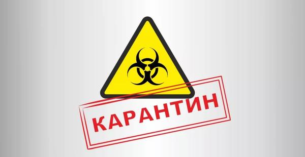 Чем заняться во время карантина? - 17 крутых способов провести время